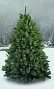 Immagine di Albero Giocoplast GERMOGLIATO